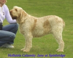 Dateiname=H CalamityJane.jpg
Dateigröße=57KB
Abmessungen: 500x397
hinzugefügt am: 14. September 2009 H CalamityJane.jpg