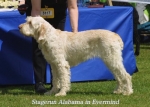 Filename=S Alabama.jpg
Filesize=57KiB
Dimensions=500x358
Date added=Sep 14, 2009 S Alabama.jpg