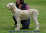 Filename=W CultureVulture.jpg
Filesize=56KiB
Dimensions=500x363
Date added=Sep 14, 2009 W CultureVulture.jpg