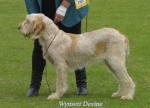 Filename=W Devine.jpg
Filesize=53KiB
Dimensions=500x363
Date added=Sep 14, 2009 W Devine.jpg