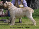 Filename=G-StarsBillBailey.jpg
Filesize=45KiB
Dimensions=550x414
Date added=Sep 14, 2009 G-StarsBillBailey.jpg