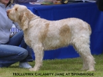 Filename=H-CalamityJane.jpg
Filesize=49KiB
Dimensions=550x411
Date added=Sep 14, 2009 H-CalamityJane.jpg