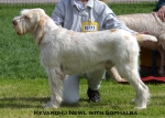 Filename=K-Newl.jpg
Filesize=50KiB
Dimensions=550x395
Date added=Sep 14, 2009 K-Newl.jpg