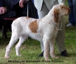 Filename=M-Britannia.jpg
Filesize=49KiB
Dimensions=550x468
Date added=Sep 14, 2009 M-Britannia.jpg