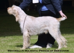 Filename=M-MajesticPrince.jpg
Filesize=47KiB
Dimensions=550x403
Date added=Sep 14, 2009 M-MajesticPrince.jpg