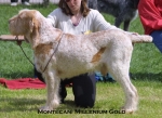 Filename=M-MilleniumGold.jpg
Filesize=51KiB
Dimensions=550x402
Date added=Sep 14, 2009 M-MilleniumGold.jpg