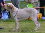 Filename=O-BreathOfLife.jpg
Filesize=47KiB
Dimensions=550x401
Date added=Sep 14, 2009 O-BreathOfLife.jpg