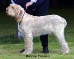 Dateiname=R-Tiziano.jpg
Dateigröße=47KB
Abmessungen: 500x402
hinzugefügt am: 14. September 2009 R-Tiziano.jpg