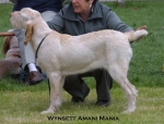 Dateiname=W-AmaniMania.jpg
Dateigröße=42KB
Abmessungen: 550x419
hinzugefügt am: 14. September 2009 W-AmaniMania.jpg