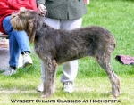 Dateiname=W-ChiantiClassico.jpg
Dateigröße=52KB
Abmessungen: 550x435
hinzugefügt am: 14. September 2009 W-ChiantiClassico.jpg