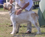 Filename=A-Nigel.jpg
Filesize=51KiB
Dimensions=550x456
Date added=Sep 14, 2009 A-Nigel.jpg