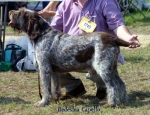 Filename=B-Capello.jpg
Filesize=49KiB
Dimensions=550x423
Date added=Sep 14, 2009 B-Capello.jpg