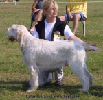 Filename=K-Newl.jpg
Filesize=53KiB
Dimensions=550x536
Date added=Sep 14, 2009 K-Newl.jpg