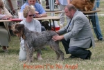 Filename=F-ImNoAngel.jpg
Filesize=43KiB
Dimensions=550x373
Date added=Sep 14, 2009 F-ImNoAngel.jpg