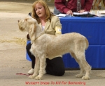 Filename=W-DressToKill.jpg
Filesize=56KiB
Dimensions=550x457
Date added=Sep 14, 2009 W-DressToKill.jpg