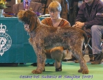 Filename=Cesare.jpg
Filesize=73KiB
Dimensions=550x432
Date added=Sep 14, 2009 Cesare.jpg