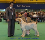Filename=Dog CC.jpg
Filesize=66KiB
Dimensions=550x496
Date added=Sep 14, 2009 Dog CC.jpg