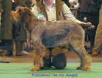 Filename=F ImNoAngel.jpg
Filesize=69KiB
Dimensions=550x425
Date added=Sep 14, 2009 F ImNoAngel.jpg
