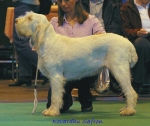 Filename=K Safron.jpg
Filesize=55KiB
Dimensions=550x465
Date added=Sep 14, 2009 K Safron.jpg