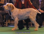 Filename=L AdRock.jpg
Filesize=59KiB
Dimensions=550x428
Date added=Sep 14, 2009 L AdRock.jpg