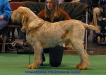Filename=M MilleniumGold.jpg
Filesize=57KiB
Dimensions=550x390
Date added=Sep 14, 2009 M MilleniumGold.jpg