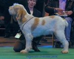 Filename=W CrackerJack.jpg
Filesize=54KiB
Dimensions=550x441
Date added=Sep 14, 2009 W CrackerJack.jpg
