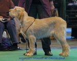 Filename=W Minuet.jpg
Filesize=55KiB
Dimensions=550x441
Date added=Sep 14, 2009 W Minuet.jpg