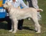 Filename=B-HighHopes.jpg
Filesize=45KiB
Dimensions=550x443
Date added=Sep 14, 2009 B-HighHopes.jpg