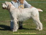 Filename=K-Newl.jpg
Filesize=48KiB
Dimensions=550x422
Date added=Sep 14, 2009 K-Newl.jpg