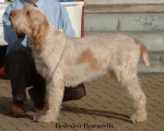 Filename=B-Boscarelli.jpg
Filesize=50KiB
Dimensions=550x442
Date added=Sep 14, 2009 B-Boscarelli.jpg