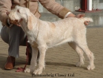 Filename=B-ClassyGal.jpg
Filesize=49KiB
Dimensions=550x417
Date added=Sep 14, 2009 B-ClassyGal.jpg