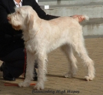Filename=B-HighHopes.jpg
Filesize=47KiB
Dimensions=549x511
Date added=Sep 14, 2009 B-HighHopes.jpg