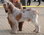 Filename=F-Laerzio.jpg
Filesize=45KiB
Dimensions=550x442
Date added=Sep 14, 2009 F-Laerzio.jpg