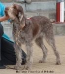Filename=H-Finocchia.jpg
Filesize=50KiB
Dimensions=550x624
Date added=Sep 14, 2009 H-Finocchia.jpg