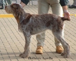 Filename=H-Lorella.jpg
Filesize=49KiB
Dimensions=550x443
Date added=Sep 14, 2009 H-Lorella.jpg
