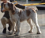 Filename=M-KnightToRemember.jpg
Filesize=49KiB
Dimensions=550x470
Date added=Sep 14, 2009 M-KnightToRemember.jpg