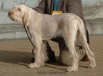 Dateiname=N-Shakiyra.jpg
Dateigröße=47KB
Abmessungen: 550x408
hinzugefügt am: 14. September 2009 N-Shakiyra.jpg
