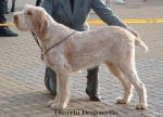 Dateiname=O-Dragoncello.jpg
Dateigröße=50KB
Abmessungen: 550x398
hinzugefügt am: 14. September 2009 O-Dragoncello.jpg