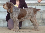 Filename=S-SpiritOfTaz.jpg
Filesize=47KiB
Dimensions=550x408
Date added=Sep 14, 2009 S-SpiritOfTaz.jpg