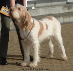 Filename=W-CrackerJack.jpg
Filesize=52KiB
Dimensions=550x537
Date added=Sep 14, 2009 W-CrackerJack.jpg