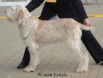 W-Letizia.jpg