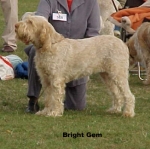 Filename=B-Gem.jpg
Filesize=48KiB
Dimensions=326x324
Date added=Sep 14, 2009 B-Gem.jpg