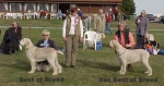 Filename=BOB RBOB.jpg
Filesize=43KiB
Dimensions=549x290
Date added=Sep 14, 2009 BOB RBOB.jpg