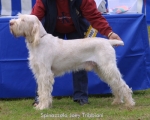 Filename=S-Joey.jpg
Filesize=46KiB
Dimensions=550x440
Date added=Sep 14, 2009 S-Joey.jpg