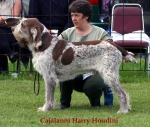 Filename=C-HarryHoudini.jpg
Filesize=51KiB
Dimensions=550x467
Date added=Sep 14, 2009 C-HarryHoudini.jpg
