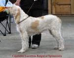 Filename=C-LucretsiaBorgia.jpg
Filesize=42KiB
Dimensions=550x436
Date added=Sep 14, 2009 C-LucretsiaBorgia.jpg