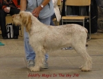 Filename=G Magic.jpg
Filesize=51KiB
Dimensions=550x427
Date added=Sep 14, 2009 G Magic.jpg