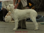 Filename=K Safron.jpg
Filesize=45KiB
Dimensions=550x418
Date added=Sep 14, 2009 K Safron.jpg