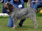 Dateiname=S-Apache.jpg
Dateigröße=48KB
Abmessungen: 550x403
hinzugefügt am: 14. September 2009 S-Apache.jpg