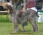 Dateiname=S-Generoso.jpg
Dateigröße=54KB
Abmessungen: 550x444
hinzugefügt am: 14. September 2009 S-Generoso.jpg